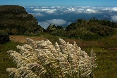 paisagem da natureza