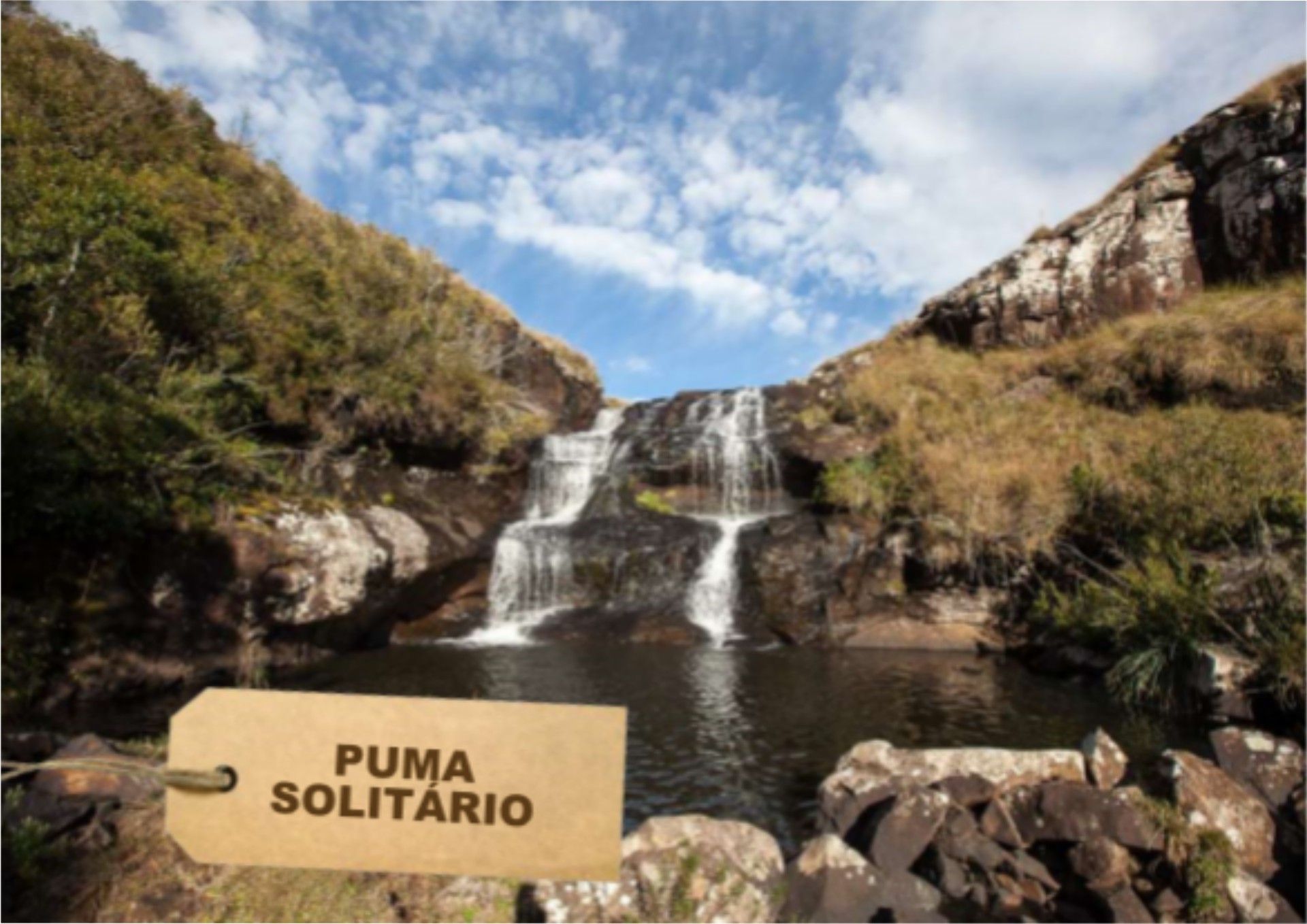 Trilha 3 Puma Solitário