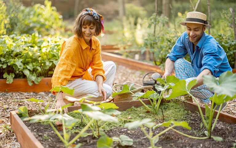 Horta orgânica como cultivar a sua