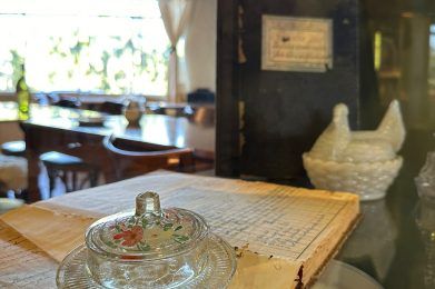 Exposição "Casa da Nonna: Memórias e Café" — Um Resgate da História Através do Café e das Louças Antigas 1 WhatsApp Image 2024 08 08 at 11.49.40